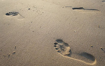 do-i-need-custom-foot-orthotics.jpg