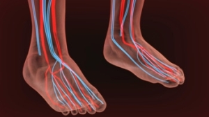 Causes of peripheral neuropathy
