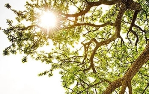 Vitamin D: Are you getting enough?